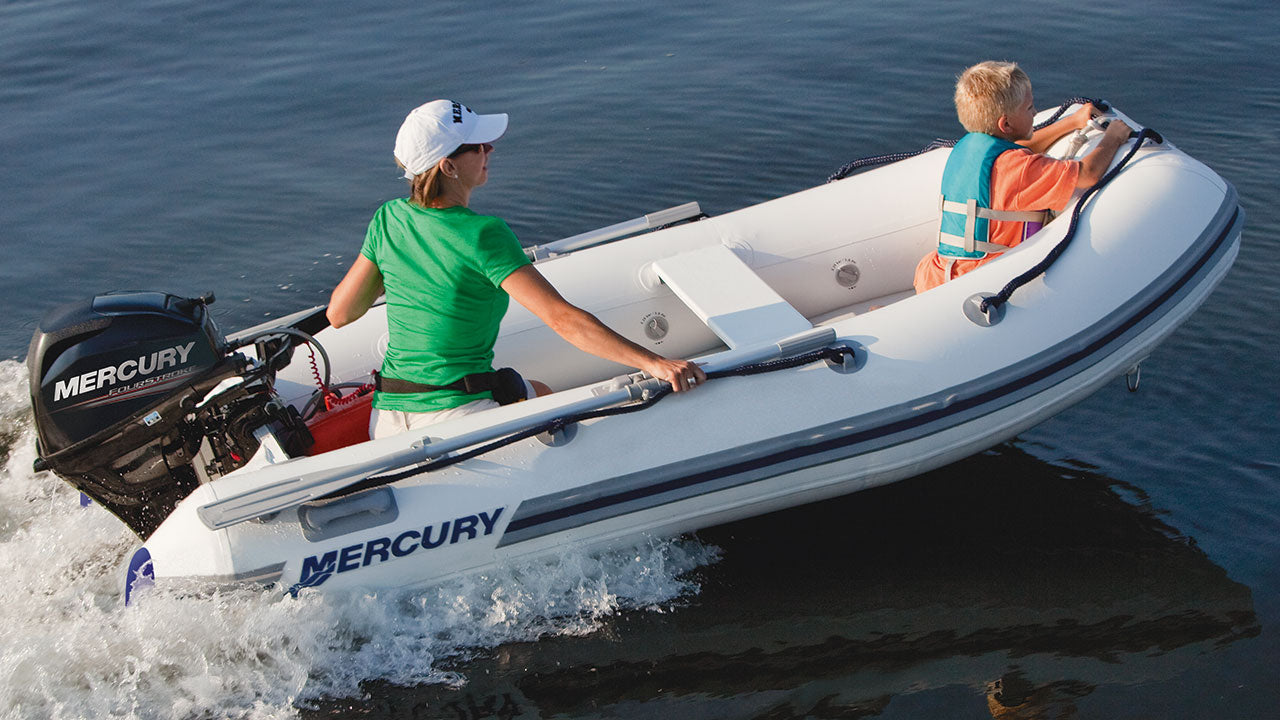 Mercury F20 EH/ELH EFI