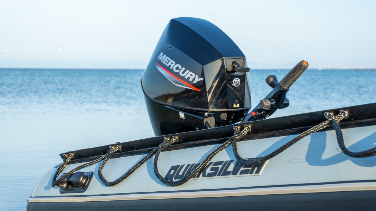 Mercury F25 EH/ELH EFI