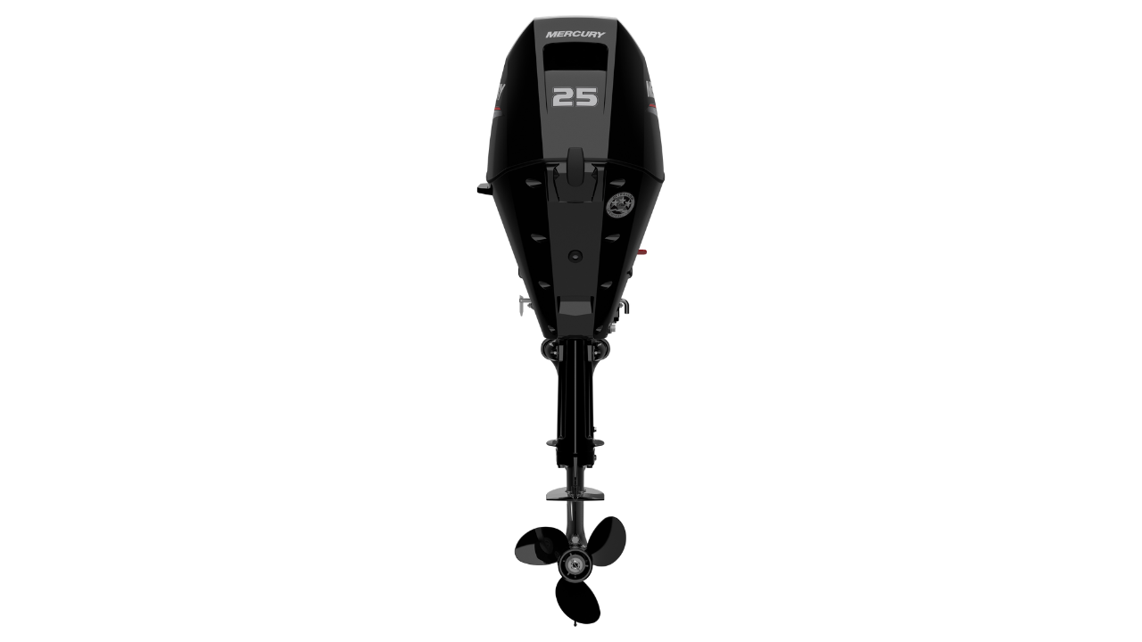 Mercury F25 EH/ELH EFI